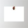 24" x 18" Corrugated Plastic Sign Thumbnail